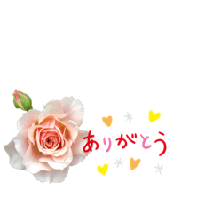 ありがとうにバラの花を添えて Lineスタンプ Kmmrose